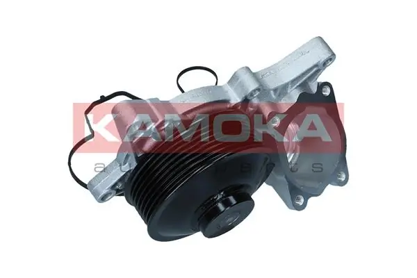 Water Pump, engine cooling T0298