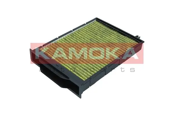 Filter, cabin air 6080023