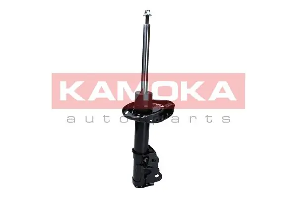 Shock Absorber 2000057
