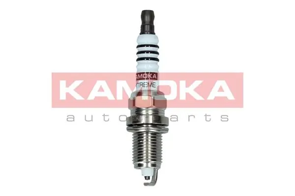 Spark Plug 7090538