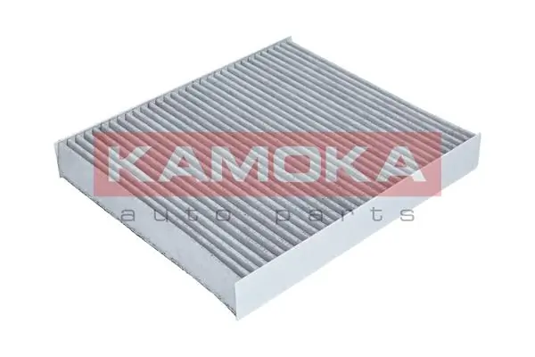 Filter, cabin air F509701