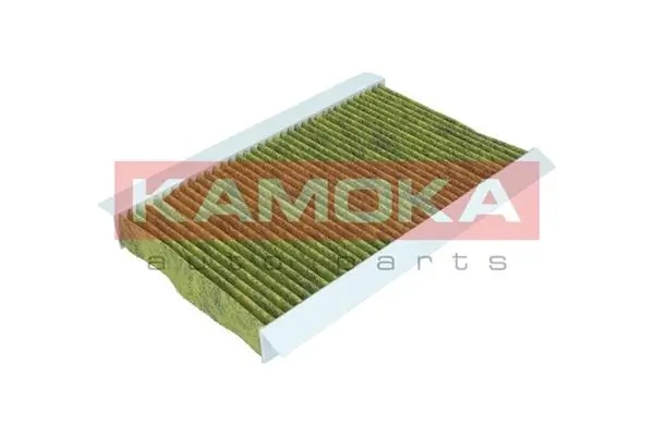 Filter, cabin air 6080009