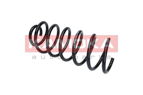 Suspension Spring 2110068