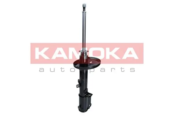 Shock Absorber 2000304