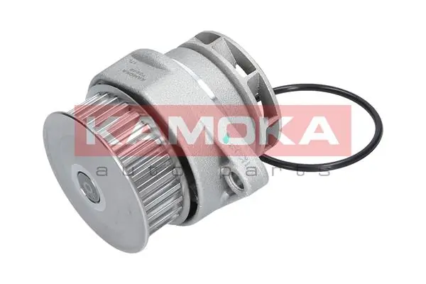 Water Pump, engine cooling T0249