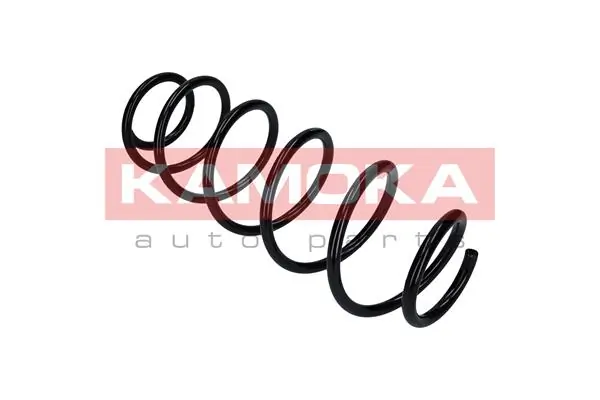 Suspension Spring 2120296