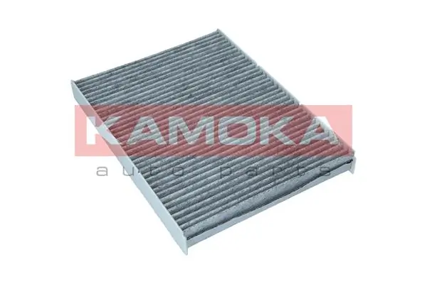 Filter, cabin air F500401