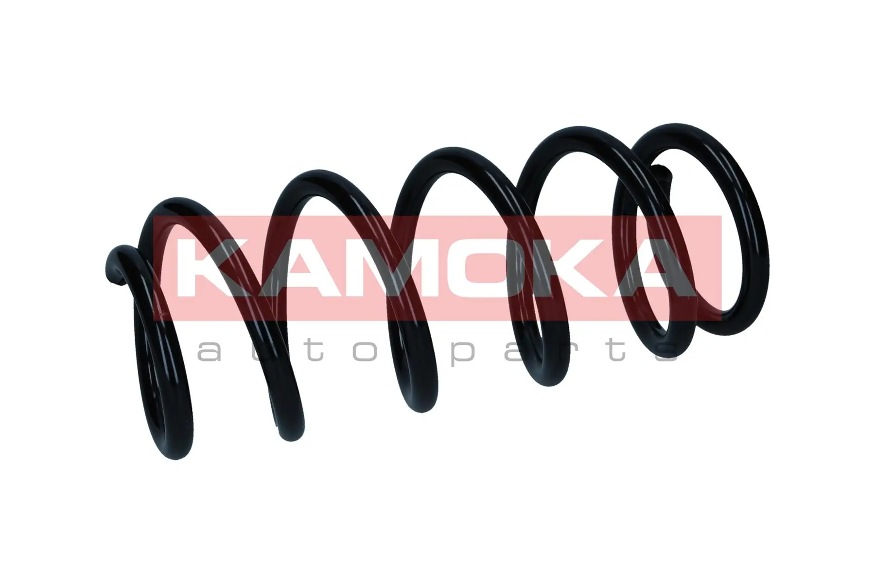 Suspension Spring 2120570