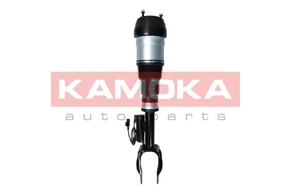 Air Suspension Strut 2070004