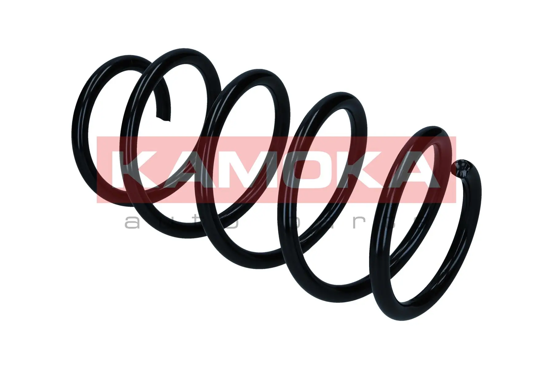 Suspension Spring 2110730