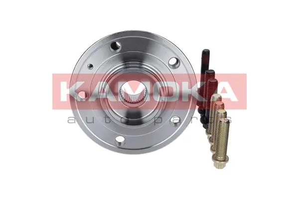 Wheel Bearing Kit 5500067