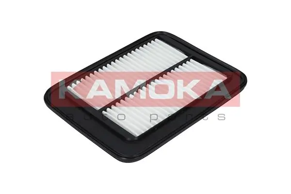 Air Filter F224801