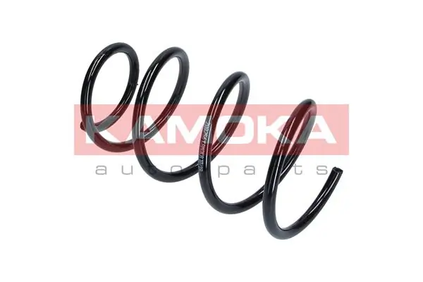 Suspension Spring 2110256