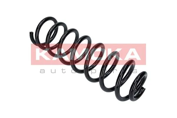 Suspension Spring 2110207