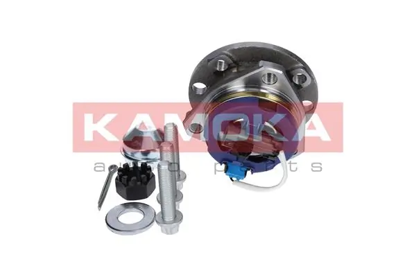 Wheel Bearing Kit 5500061