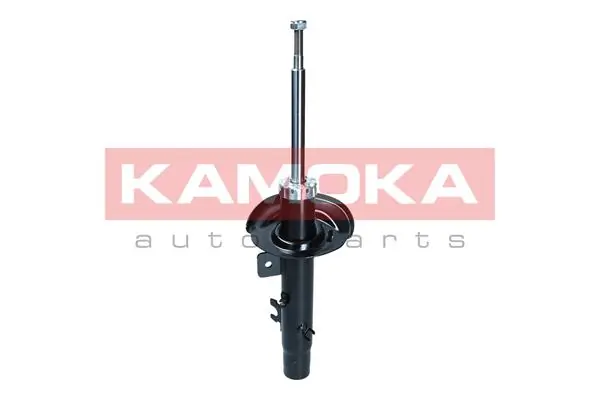 Shock Absorber 2000171