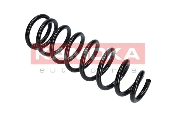 Suspension Spring 2110170