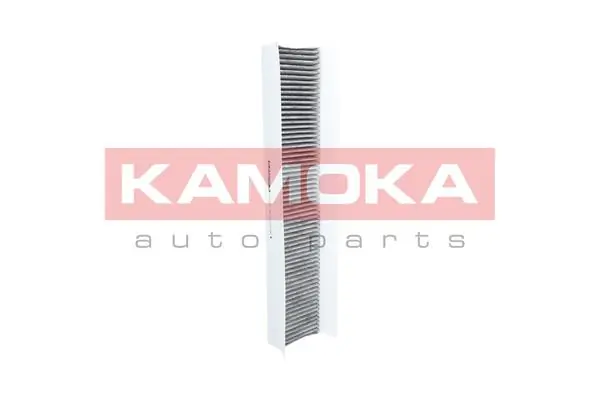 Filter, cabin air F503601