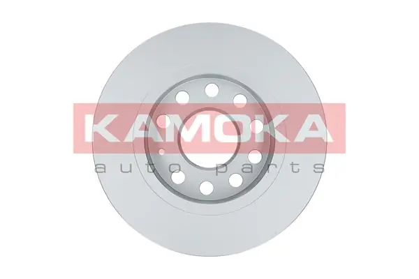 Brake Disc 103363