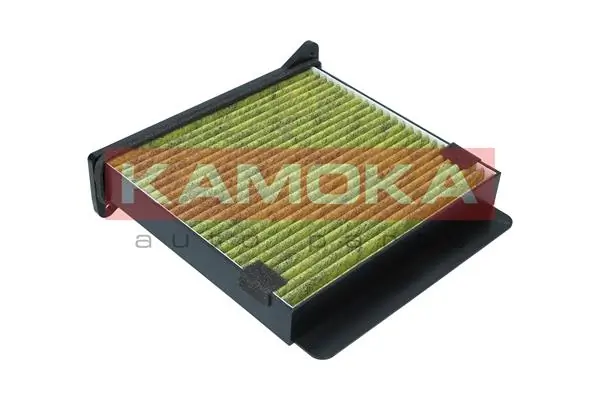 Filter, cabin air 6080052