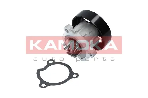 Water Pump, engine cooling T0221