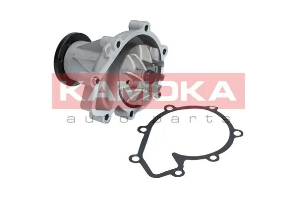 Water Pump, engine cooling T0184