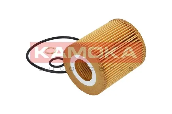 Oil Filter F109501