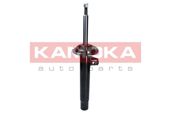 Shock Absorber 2000487