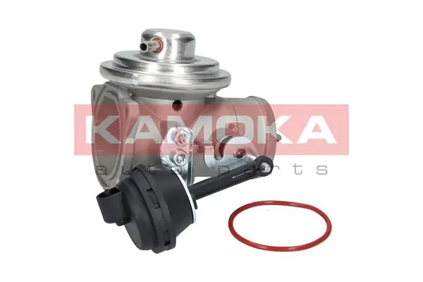 废气再循环阀 19032