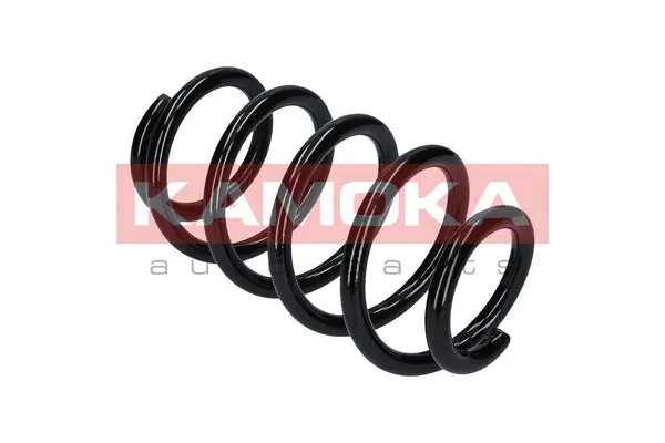 Suspension Spring 2120132