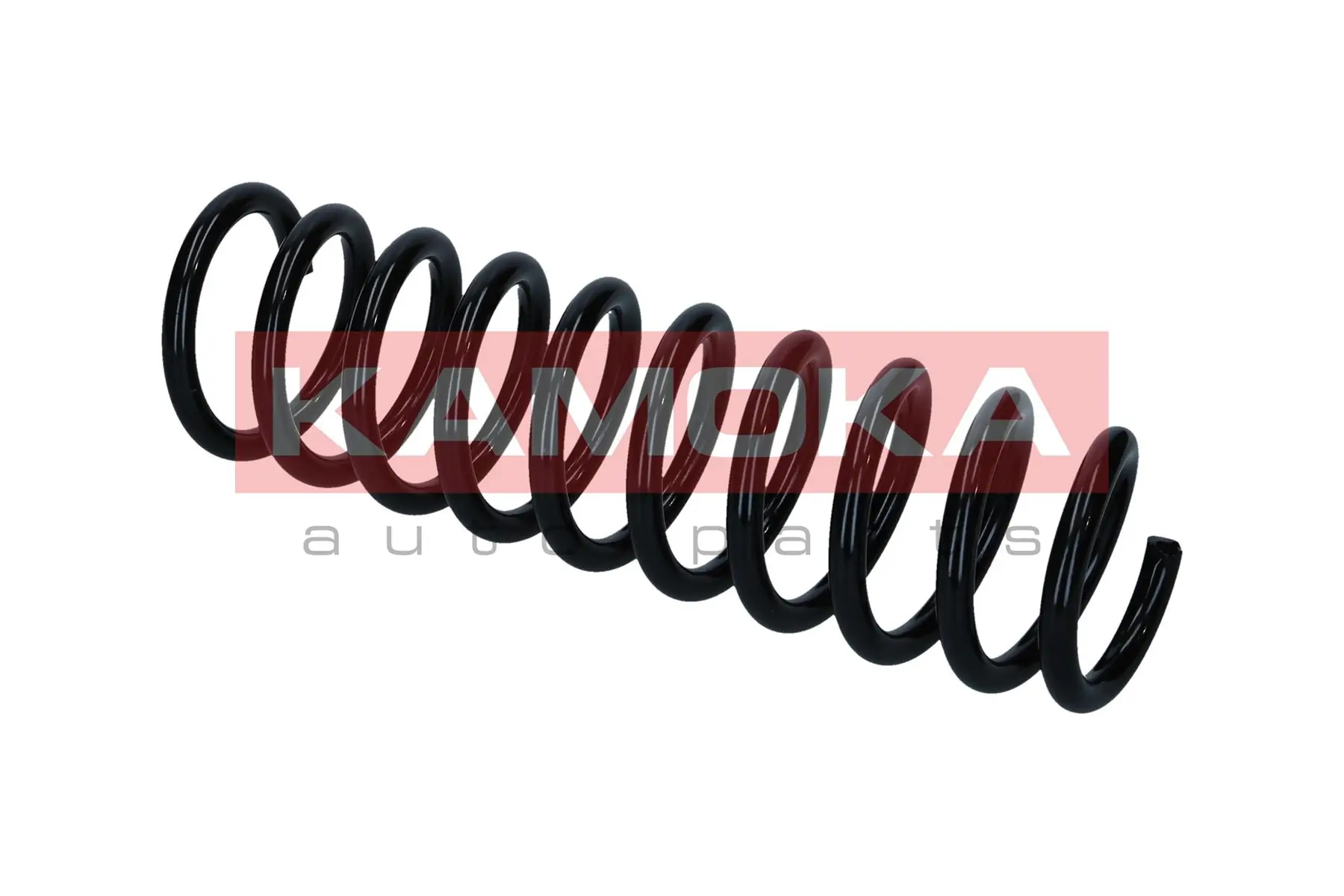 Suspension Spring 2120469