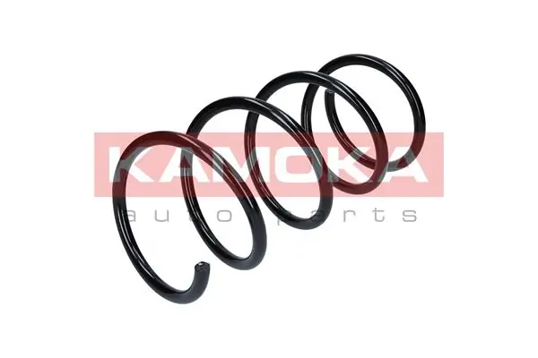 Suspension Spring 2110231