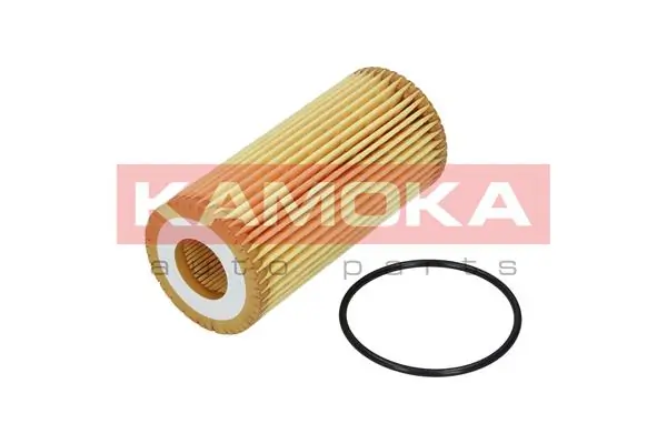Oil Filter F115301