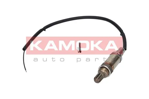 Oxygen Sensor 17001