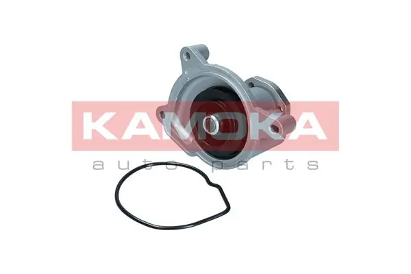 Water Pump, engine cooling T0021
