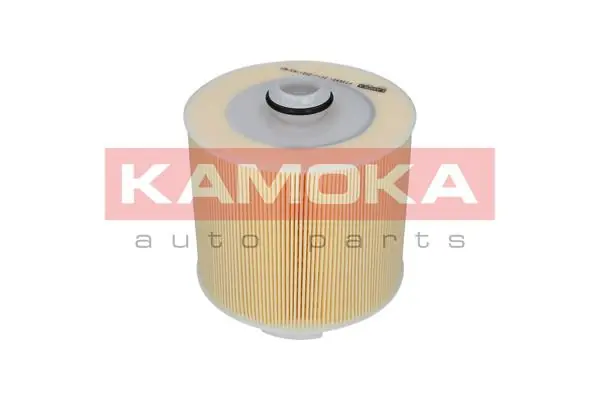 Air Filter F236801