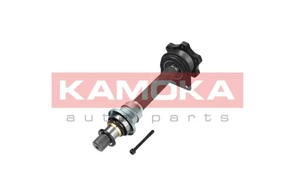 Drive Shaft VW111003