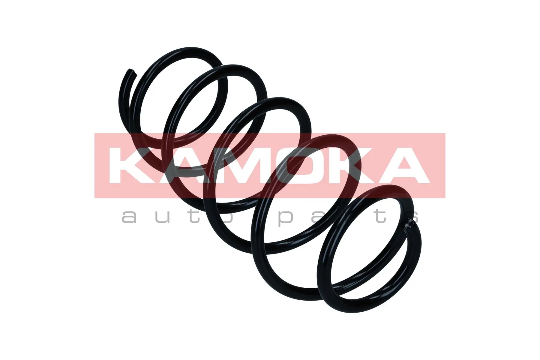 Suspension Spring 2110846