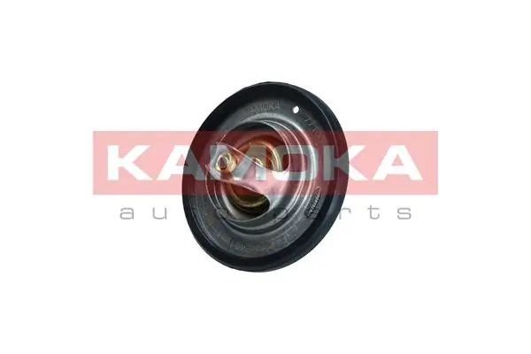 Thermostat, coolant 7710045