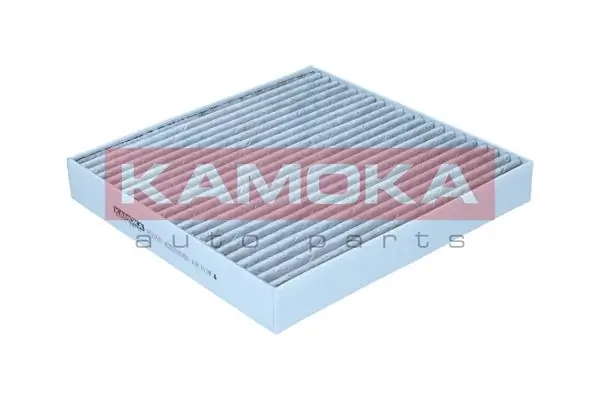 Filter, cabin air F523501