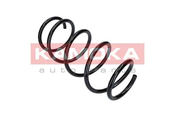 Suspension Spring 2110117