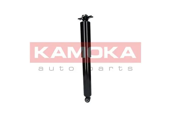 Shock Absorber 2000043
