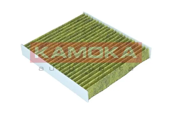 Filter, cabin air 6080070