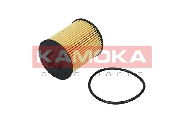 Oil Filter F106601