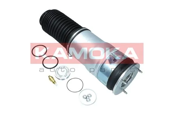 Air Spring, suspension 2079020