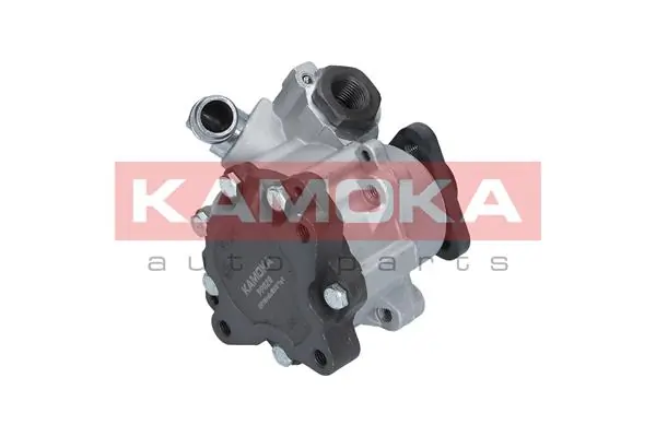 Hydraulic Pump, steering PP020