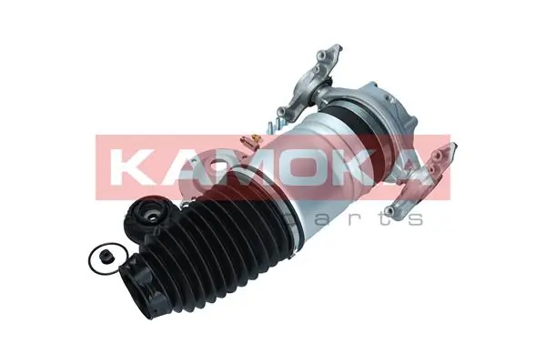 Air Spring, suspension 2079012