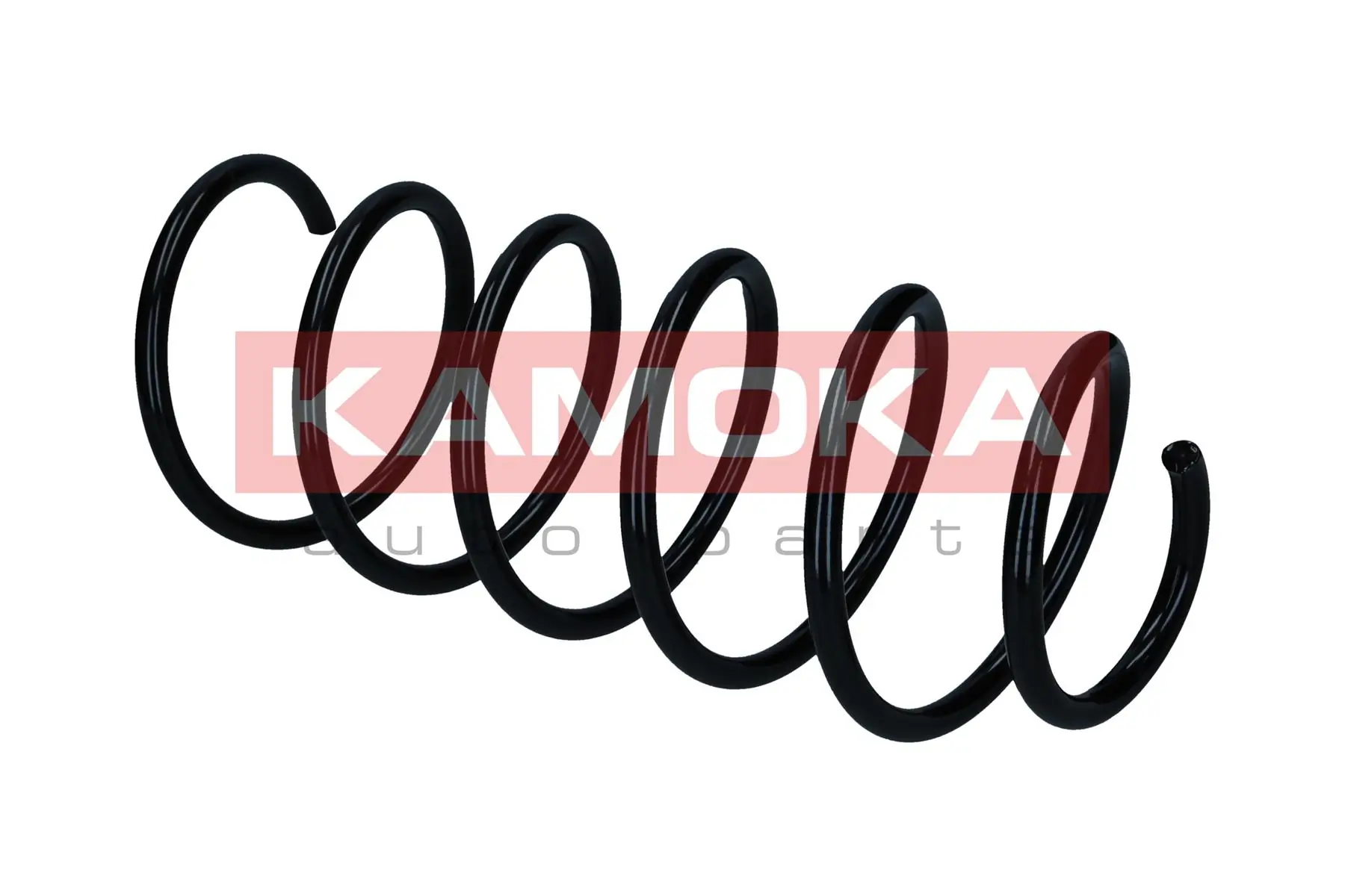 Suspension Spring 2110862