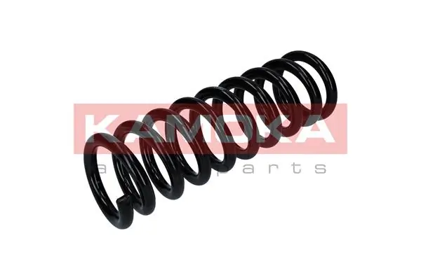 Suspension Spring 2110296