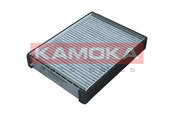 Filter, cabin air F516901